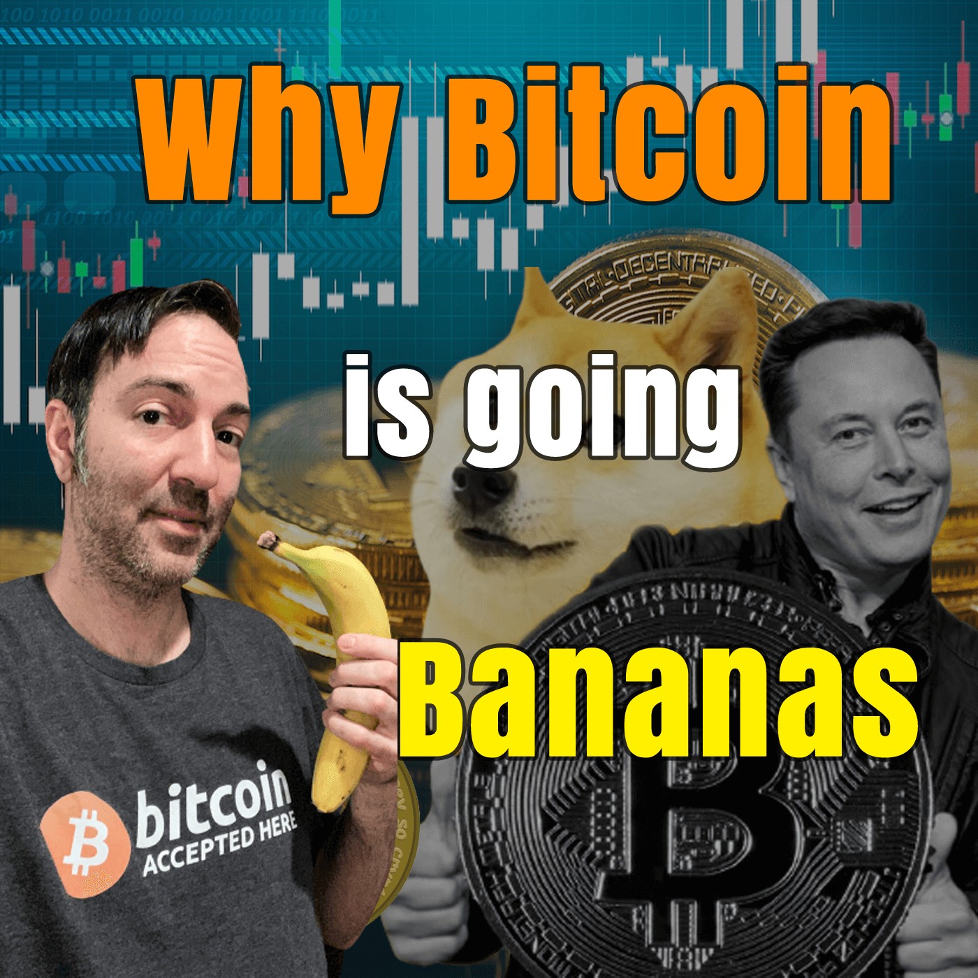Why Bitcoin is Going Bananas