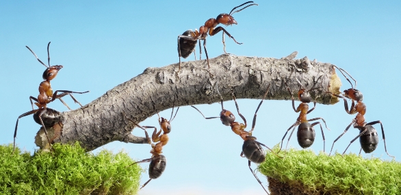 What tools to use to best collaborate with your team